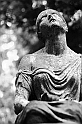High hopes (Highgate cemetery)